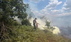 Bilecik'te 20 dönümlük alanda korkutan yangın