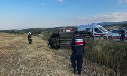 Kamyonet tarlaya devrildi: 1 yaralı