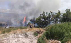 Elektrik direğinden çıkan yangın korkuttu