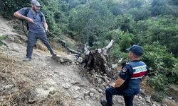 Bilecik'te ağaç yangını korkuttu
