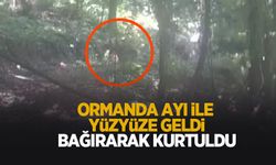 Ormanda ayı ile yüzyüze geldi; Bağırıp kurtuldu
