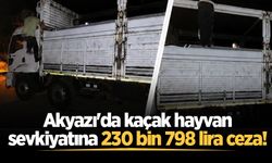 Akyazı'da kaçak hayvan sevkiyatına 230 bin 798 lira ceza!