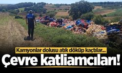 Kaynarca'da çevre katliamı: Kamyonlar dolusu atık döküp kaçtılar