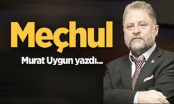 Meçhul
