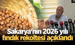Sakarya'nın 2026 yılı fındık rekoltesi açıklandı
