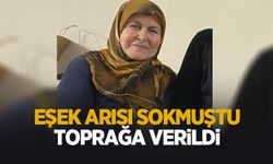 Eşek arısının soktuğu yaşlı kadın toprağa verildi