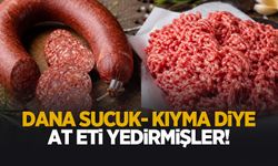Sucukta ve kıymada at eti çıktı