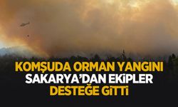 Orman yangını 3 saatin ardından kontrol altına alındı