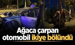 Ağaca çarpan otomobil ikiye bölündü