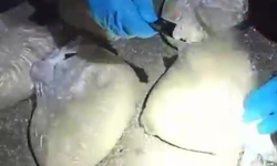 5 kilo metamfetamin ele geçirildi