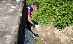 Mollaköy’den Sapanca Gölü’ne aktarılan su 44 parametreyle periyodik olarak takip ediliyor