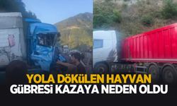 Yola dökülen gübre nedeniyle tırlar çarpıştı