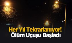 Her yıl tekrarlanıyor! Ölüm uçuşu başladı