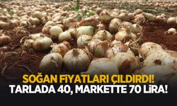 Soğan fiyatı cep yakıyor!