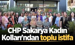 CHP Sakarya Kadın Kolları'ndan toplu istifa