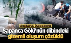 Bilim Kurulu Üyesi açıkladı! Sapanca Gölü'nün dibindeki gizemli oluşum çözüldü