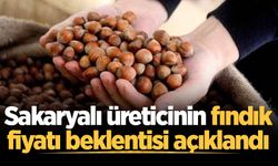 Sakaryalı üreticinin fındık fiyatı beklentisi açıklandı: TMO’ya 300 TL çağrısı
