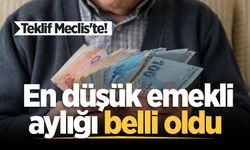 En düşük emekli aylığı teklifi Meclis'e sunuldu