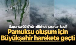 Sapanca Gölü'nün dibinde şaşırtan keşif: Pamuksu oluşum için Büyükşehir harekete geçti