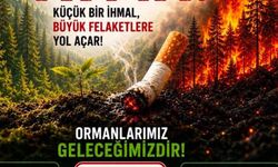 Sakarya Jandarması'ndan orman yangınlarına karşı yeni proje: "Küçük bir izmarit, büyük bir felaket olmasın"