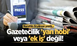 Gazetecilik 'yan hobi' veya 'ek iş' değil!