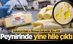 Sakarya'daki o firmayı bakanlık ifşa etti! Peynirinde yine hile çıktı