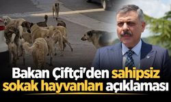 Bakan Çiftçi'den sahipsiz sokak hayvanları açıklaması