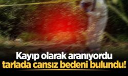 Kayıp olarak aranıyordu, tarlada cansız bedeni bulundu!