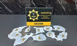 Serdivan'da skunk operasyonu!