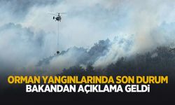 Orman yangınlarında son durum