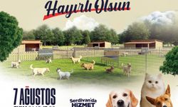 Serdivan'da Sahipsiz Hayvanlar Bakımevi hizmete açılıyor