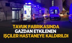 Tavuk fabrikasında gazdan etkilenen işçiler hastaneye kaldırıldı