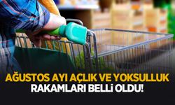 Ağustos ayında geçim maliyeti yükseldi! Rakamlar dikkat çekti