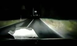 Otomobil domuza böyle çarptı