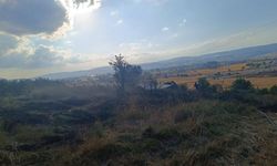 Bolu’da anız yangını ağaçlık alana sıçramadan söndürüldü