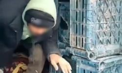 Düzce'de 7 düzensiz göçmen yakalandı