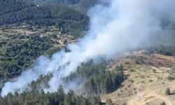 Kastamonu'da çıkan orman yangını ekiplerin hızlı müdahalesiyle söndürüldü