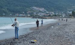 Karadeniz'de balık bolluğu yaşanıyor: Oltasını kapan koştu