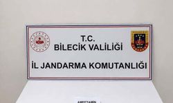 Bilecik'te uyuşturucu operasyonu: 1 şüpheli yakalandı