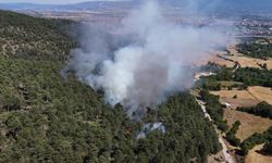Bolu’daki orman yangını kontrol altına alındı