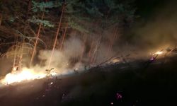 Traktörünü, tankerini alan söndürmeye koştu