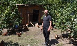 Dükkanını kapattı, köyünde hobi olarak başladığı tavukçulukta müşterilere yetişemiyor