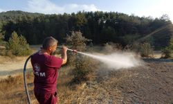 Köylülerin su tankerli müdahalesi faciayı önledi