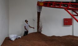 Yeni depolama merkezi fındık üreticilerine TMO kolaylığı sağlıyor