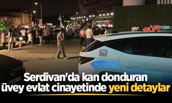 Serdivan'da kan donduran üvey evlat cinayetinde yeni detaylar