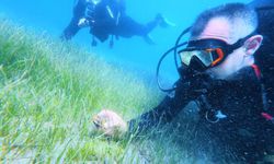 Karadeniz kıyılarındaki ilk su altı kazısında 2 bin 500 yıllık tarihe daldılar