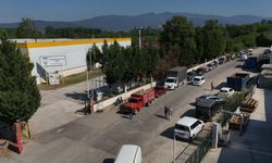 Fındık alımı başladı, araçlar kapı önünde kuyruk oldu