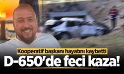D-650'de feci kaza! Kooperatif başkanı hayatını kaybetti
