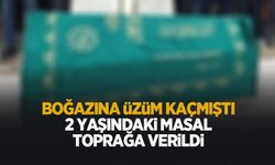2 yaşındaki masal'a acı veda