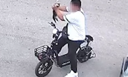 Yavru kediyi önce öpüp sonra boğmuştu, gözaltına alındı